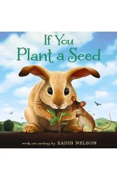 If You Plant a Seed - Kadir Nelson