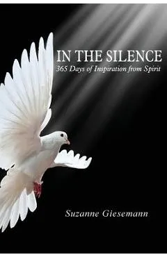 In the Silence: 365 Days of Inspiration from Spirit - Suzanne Giesemann