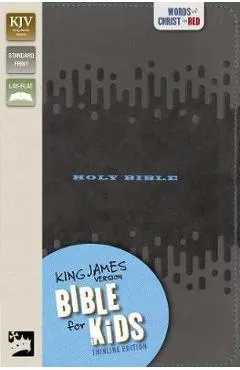 Kjv, Bible for Kids, Leathersoft, Charcoal: Thinline Edition - Thomas Nelson