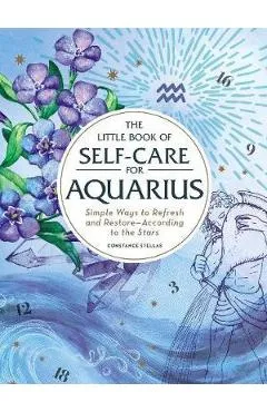 Little Book of Self-Care for Aquarius