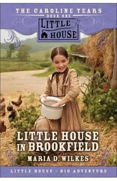 Little House in Brookfield - Maria D. Wilkes