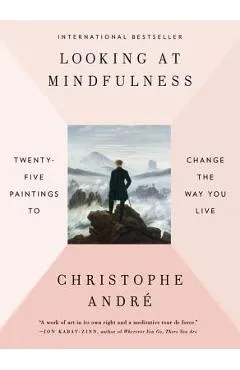 Looking at Mindfulness: Twenty-Five Paintings to Change the Way You Live - Christophe Andre