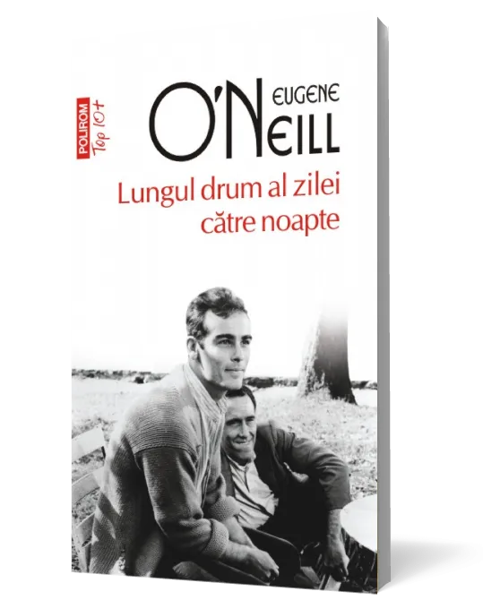 Lungul drum al zilei către noapte