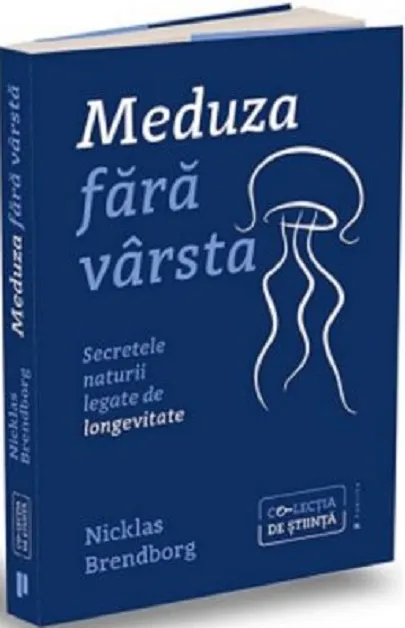 Meduza fara varsta  | Nicklas Brendborg
