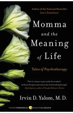 Momma and the Meaning of Life: Tales of Psychotherapy - Irvin D. Yalom