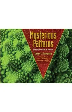 Mysterious Patterns: Finding Fractals in Nature - Sarah C. Campbell