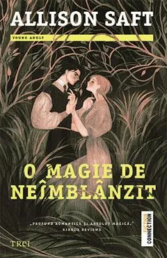 O magie de neimblanzit - Allison Saft