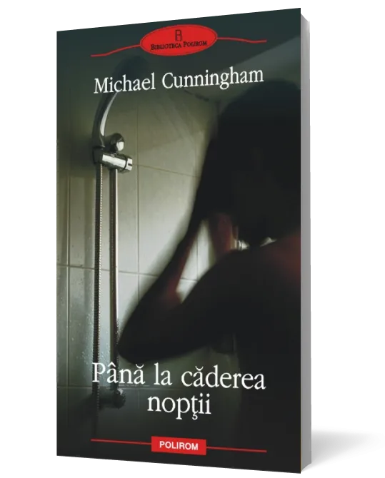 Pînă la căderea nopţii