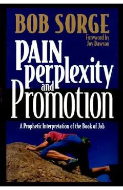 Pain, Perplexity, and Promotion: A Prophetic Interpretation of the Book of Job - Bob Sorge