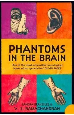 Phantoms in the Brain