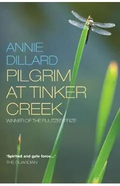 Pilgrim at Tinker Creek