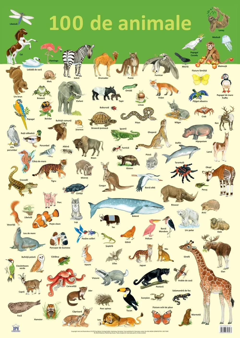 Plansa 100 de animale | Nelson Verlag