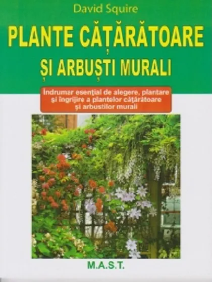 Plante cataratoare si arbusti murali | David Squire