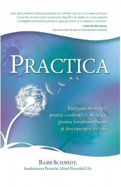 Practica - Barb Schmidt