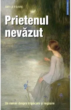 Prietenul nevazut. Un roman despre impacare si regasire - Amy Le Feuvre