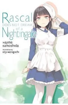 Rascal Does Not Dream of a Nightingale (Light Novel) - Hajime Kamoshida