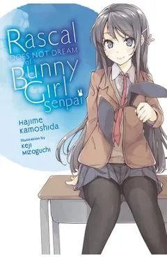 Rascal Does Not Dream of Bunny Girl Senpai (Light Novel) - Hajime Kamoshida
