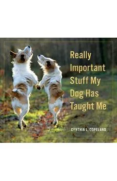 Really Important Stuff My Dog Has Taught Me