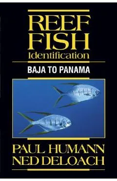 Reef Fish Identification: Baja to Panama - Paul Humann