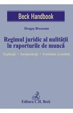 Regimul juridic al nulitatii in raporturile de munca - Dragos Brezeanu