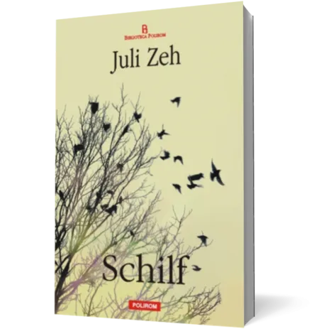 Schilf