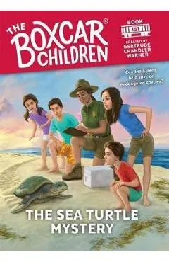 Sea Turtle Mystery