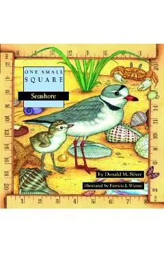 Seashore - Donald Silver