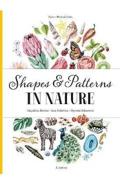 Shapes and Patterns in Nature - Jana Sedlackova