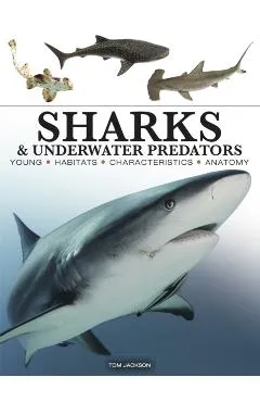 Sharks & Underwater Predators - Tom Jackson