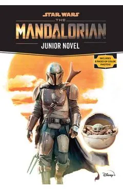 Star Wars: The Mandalorian Junior Novel - Joe Schreiber