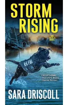Storm Rising - Sara Driscoll
