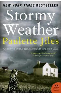 Stormy Weather - Paulette Jiles