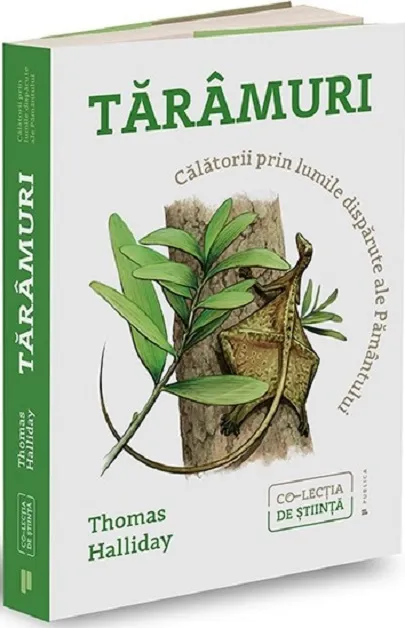 Taramuri | Thomas Halliday