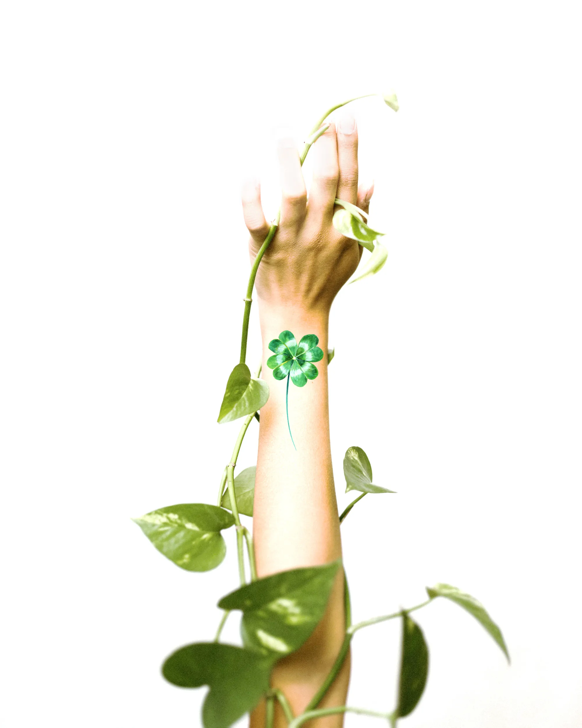 Tatuaj temporar - Martisor - Trifoi | Ana-Maria Galeteanu Ilustrator