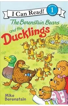 The Berenstain Bears and the Ducklings - Mike Berenstain