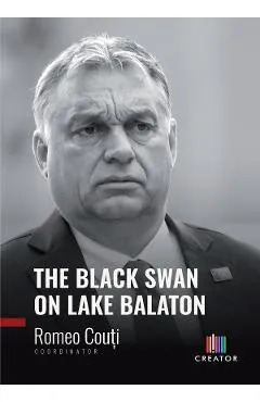 The Black Swan on Lake Balaton - Romeo Couti