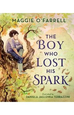 The Boy Who Lost His Spark - Maggie O'farrell