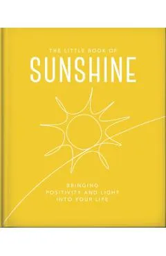 The Little Book of Sunshine: Little Rays of Light to Brighten Your Day - Orange Hippo!
