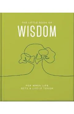 The Little Book of Wisdom: For When Life Gets a Little Tough - Orange Hippo!