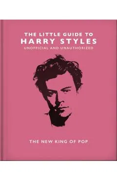 The Little Guide to Harry Styles: The New King of Pop - Orange Hippo!