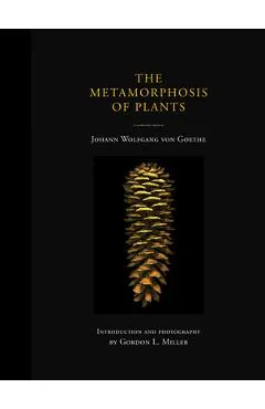 The Metamorphosis of Plants - Johann Wolfgang Von Goethe