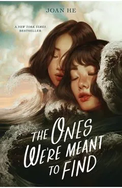 The Ones We're Meant to Find - Joan He
