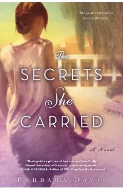 The Secrets She Carried - Barbara Davis