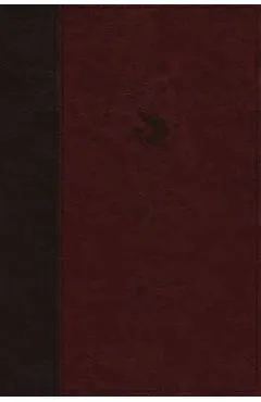 The Spirit-Filled Life Bible - Jack W. Hayford