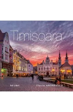 Timisoara - Florin Andreescu