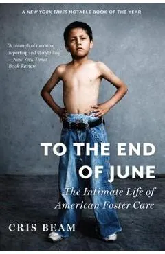 To the End of June: The Intimate Life of American Foster Care - Cris Beam