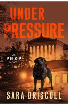 Under Pressure: A Spellbinding Crime Thriller - Sara Driscoll