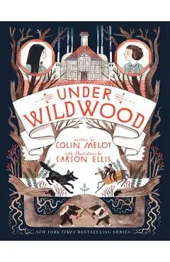 Under Wildwood - Colin Meloy