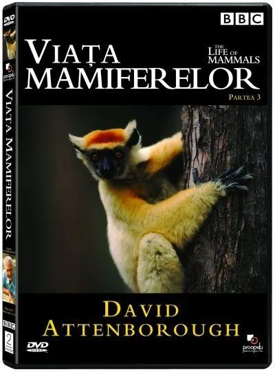 Viata mamiferelor, partea C