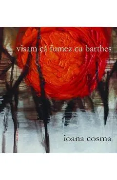 Visam ca fumez cu Barthes - Ioana Cosma